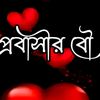 israt.jhan15