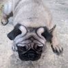 hugonorrea6
