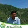 fazalwahid8768