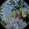 daisy_.flower1