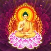 Giải Mã Vận Hạn
