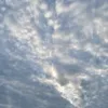 aiamm27