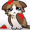 valee_raww