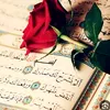 user7358807137826
