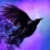 theraven139