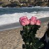 am.saif.sa