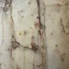 minfilla