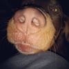 kimberlylong352