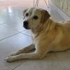 2004cone
