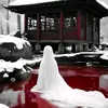 alfaa_1001