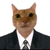 hnminhhehe