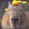 roooberduck69