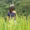 vth.maii.lam