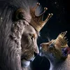 آمًيَرتٌکْمً💎👑
