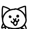 basic_cat5