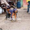 dany_20093