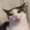 aracya_17