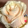 user8098011197382