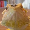 ackmed_ketamin