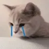 ttnm_htrang