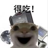 chasel0501