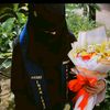 onlinequrantuotor