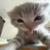 usernamegarant
