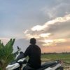 pissss739