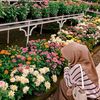 nana_4071