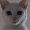 _ayeiaaa