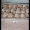 bouchrstop12