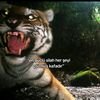 ibrahim_1091