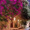 abokhalid12345