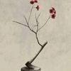 titikkoma_1313