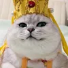 .excitergc