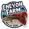 cheyohfarmhq