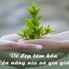 nơi lưu trữ Tâm Hồn Đẹp💓
