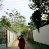 tawi248
