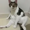 lattepopitv.official