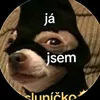 xondroxm