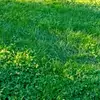 user5718777501130