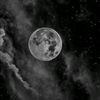 fofo_omar77