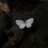 hazimruqya