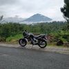 ndyya01