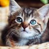 LuckyYouFoster