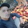 user96105800611260