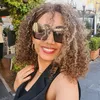 Dr. Soha Noseir