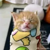 tranhalinh_008