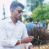 armanislam2784