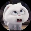 hsbshshbs_